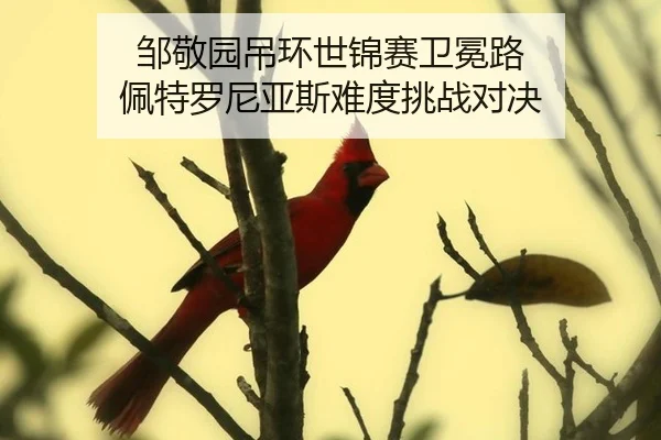 邹敬园吊环世锦赛卫冕路 佩特罗尼亚斯难度挑战对决