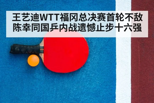 table tennis racket
