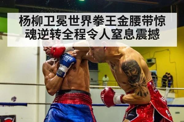 杨柳卫冕世界拳王金腰带惊魂逆转全程令人窒息震撼